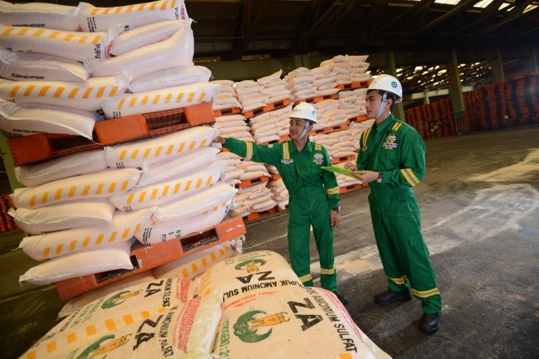 Alokasi Pupuk Subsidi Sampang 2022 Turun, Petani Cemas