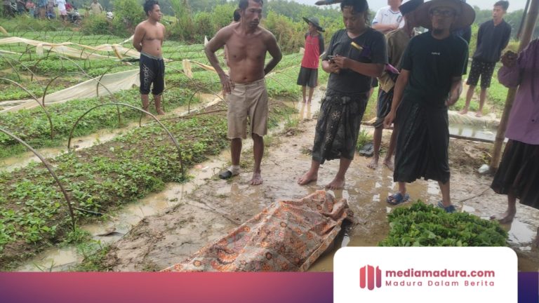 Petir Sambar Petani di Jeruk Porot, 1 Meninggal dan 1 Pingsan