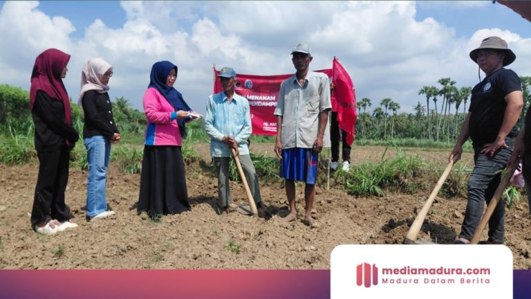 Hj. Ansari Gencarkan Penanaman Pangan Alternatif dan Bantu Petani di Pamekasan