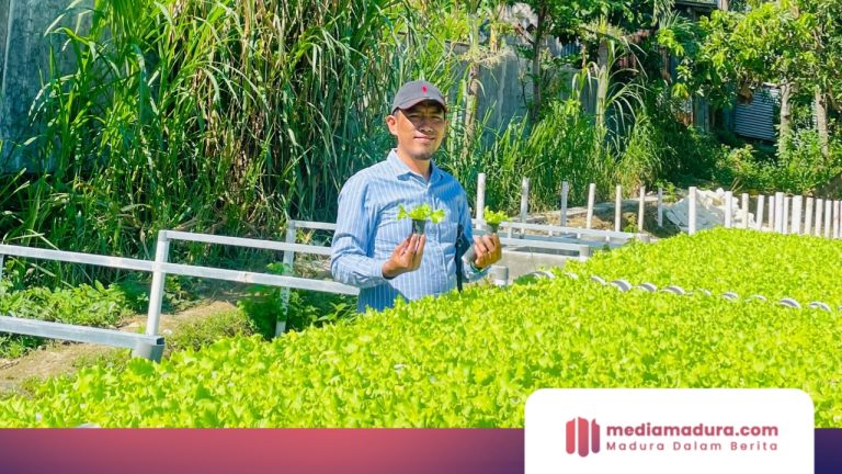 Harga Bahan Pokok Naik, Legislator Pamekasan Ini Ajak Warga Manfaatkan Pekarangan dengan Hidroponik
